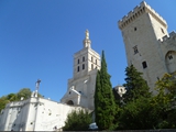 avignon mary