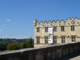 avignon musee