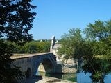 avignon p