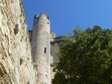 avignon p2