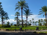 palm park