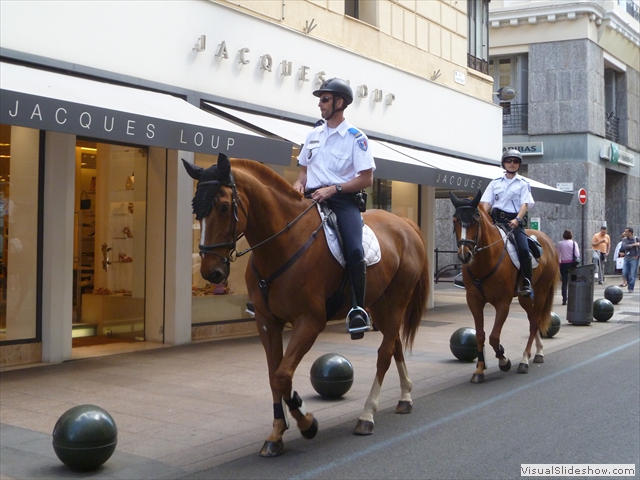 cops horse