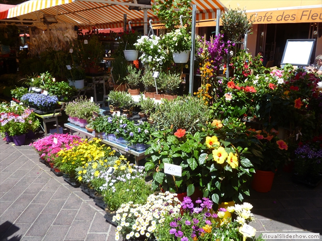 cours saleya