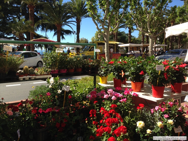 market flowers