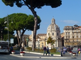 pv dome trees