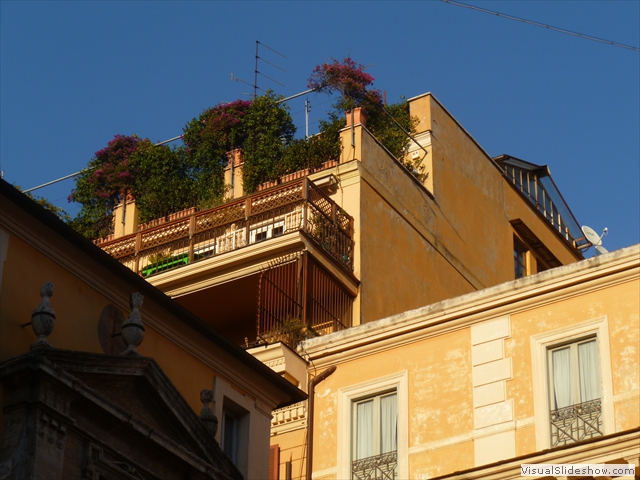 roof garden