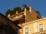 roof garden