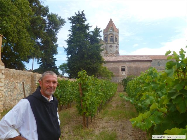 fr Marie vineyard