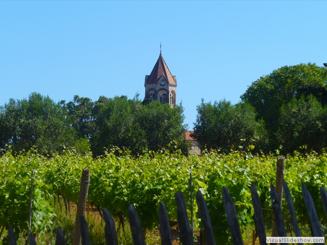 vineyards abbey