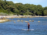 monk paddleboarding